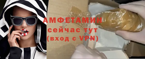 стаф Алзамай