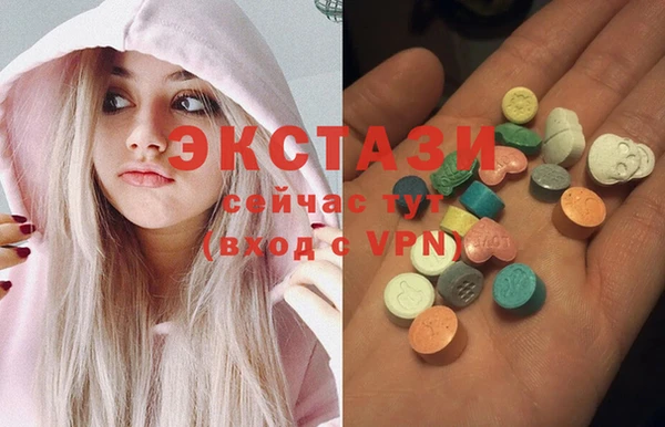 стаф Алзамай