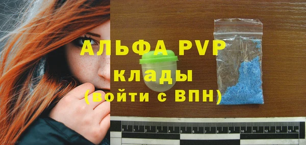 apvp Валдай
