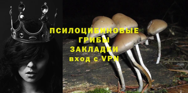 стаф Алзамай